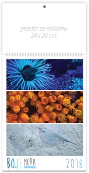 KALENDARI COLOR BOJE MORA